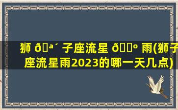 狮 🪴 子座流星 🌺 雨(狮子座流星雨2023的哪一天几点)
